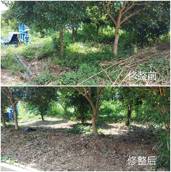 微信圖片_20210709162028(1)_副本.jpg 微信圖片_20210709162028(1)_副本.jpg